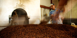 Sin campesino no hay cacao