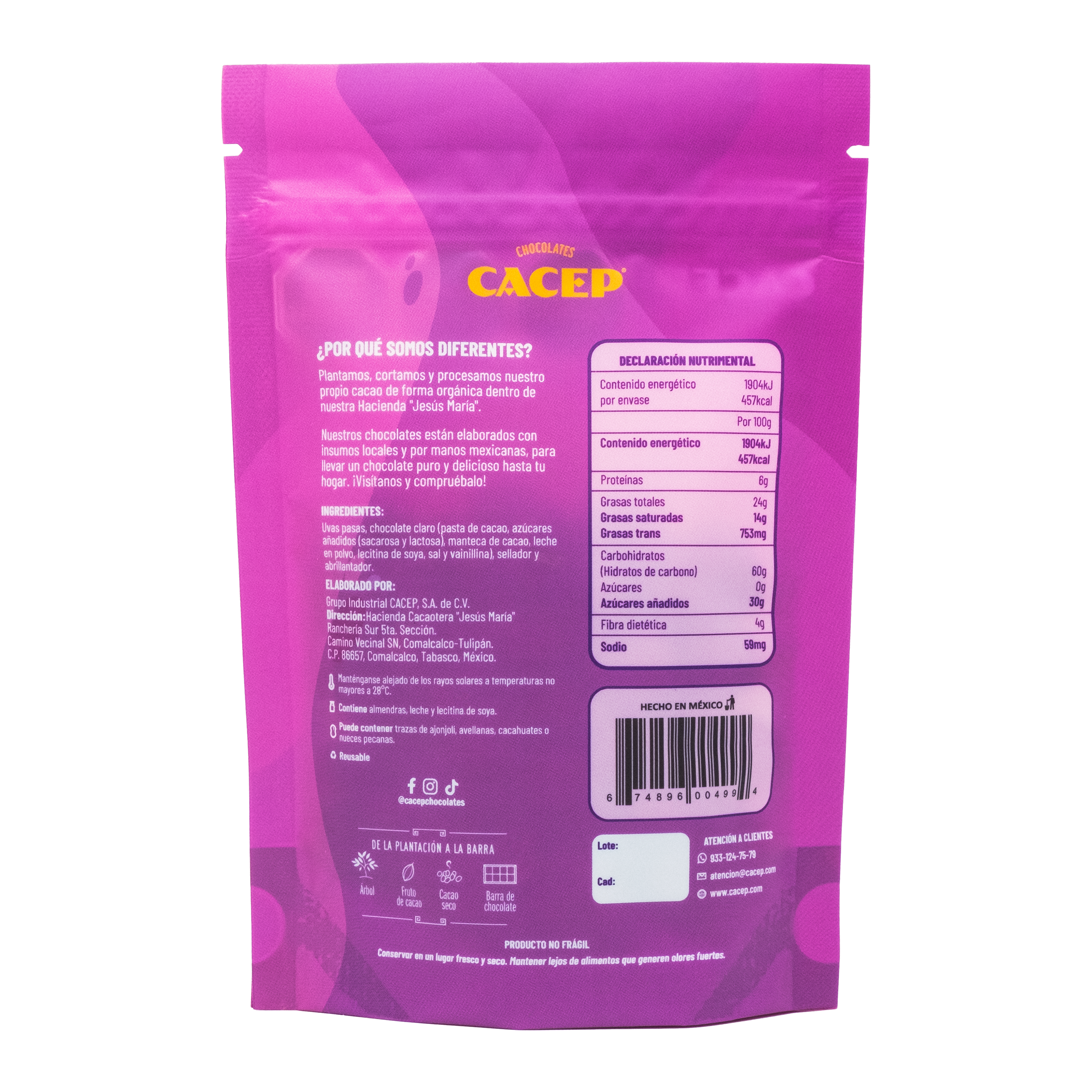 Pasitas con Chocolate claro 42%, 100 g, Confitura