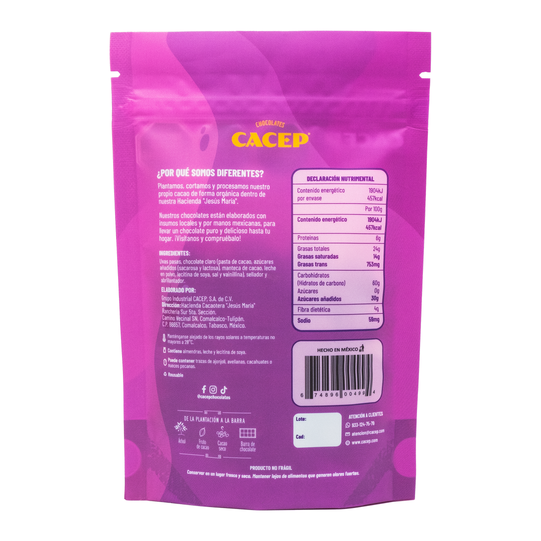 Pasitas con Chocolate claro 42%, 100 g, Confitura