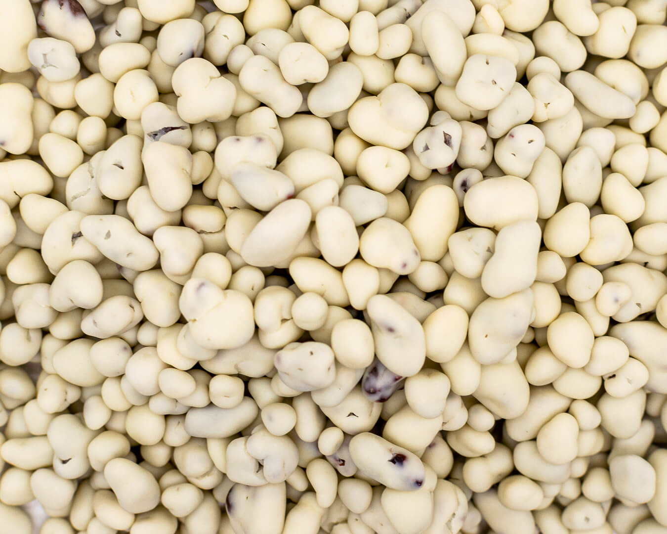 Nibs de cacao con chocolate blanco, Confituras  1 kg